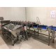 NUOVA PESATRICE AUTOMATICA DI CASTAGNE SURGELATE - 5 SETPOINT - 6 CELLE DI CARICO